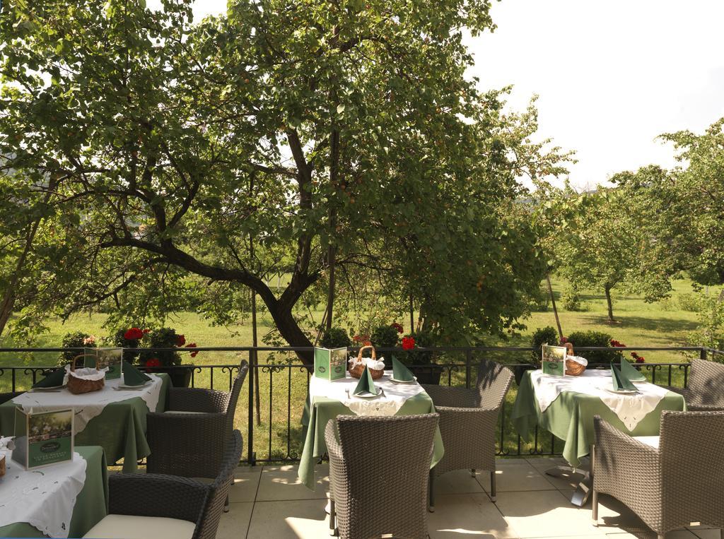 Donauhof - Hotel Garni Weissenkirchen in der Wachau Esterno foto